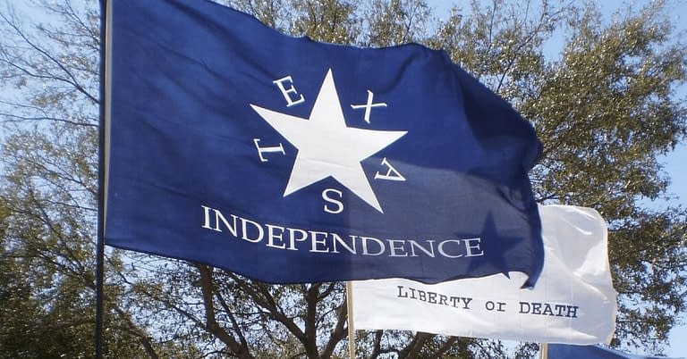 Texas Independence Flag of the Texas Nationalist Movement